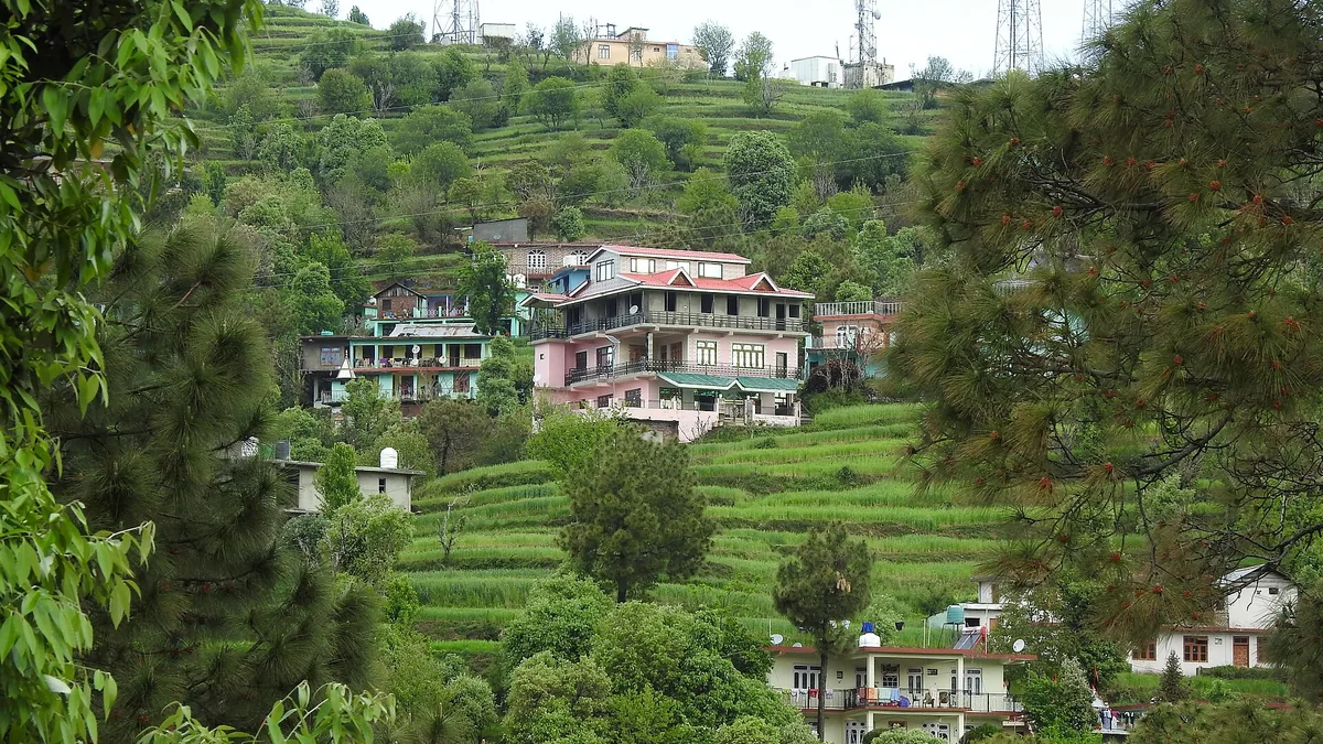 Panchpula Pine Forest & Khajjiar Alpine Meadows in Dalhousie, Himachal Pradesh