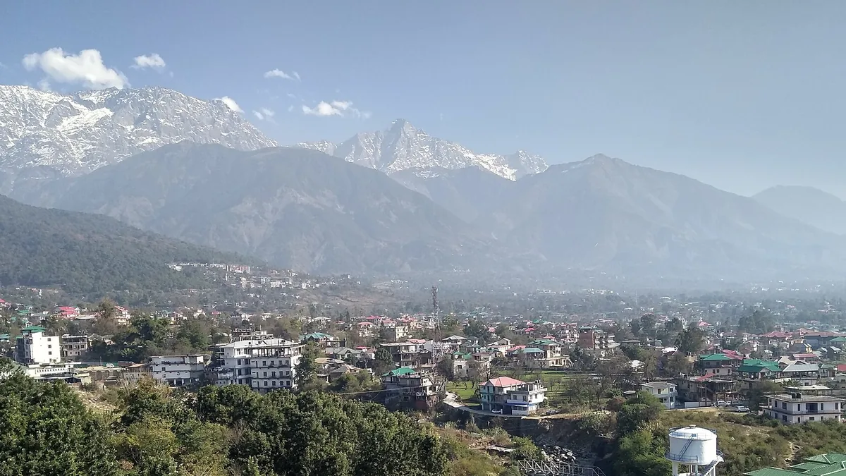 Dhauladhar Snow Mountain Ridge & Kangra Tea Gardens in Dharamshala, Himachal Pradesh