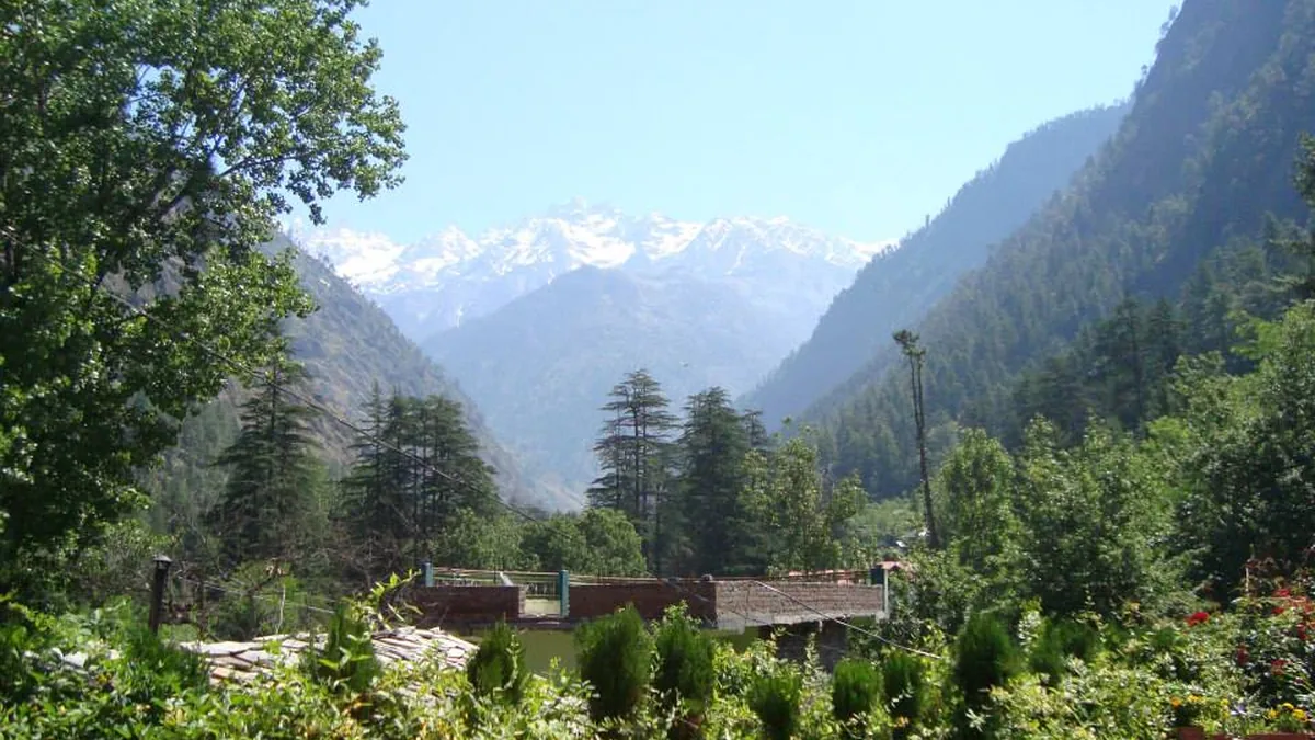 Parvati River Valley & Pine Cedar Woodlands in Kasol, Himachal Pradesh