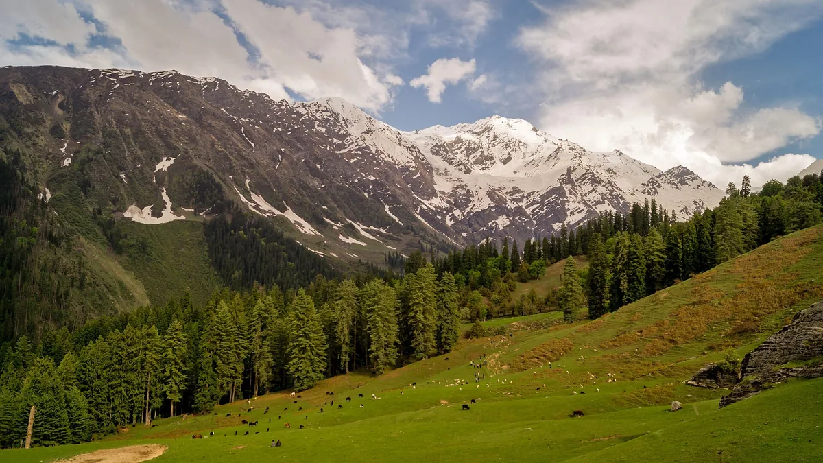 Tirthan Valley in Tirthan Valley, Himachal Pradesh